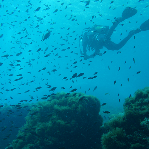 Buceo Profundo