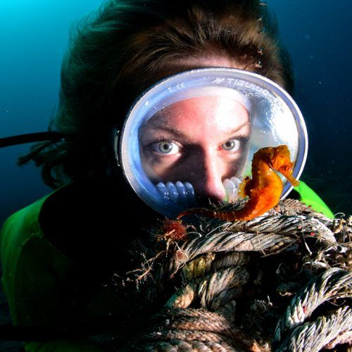 Snorkel Costa