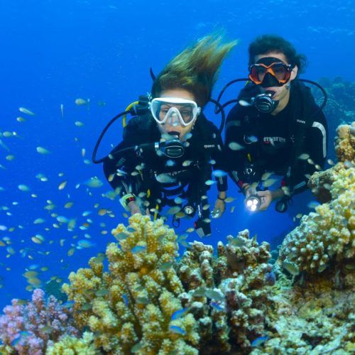 Bautismo de Buceo Hotel Golf Alicante